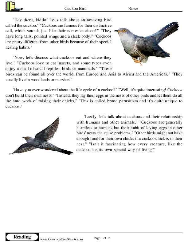  - cuckoo-bird worksheet