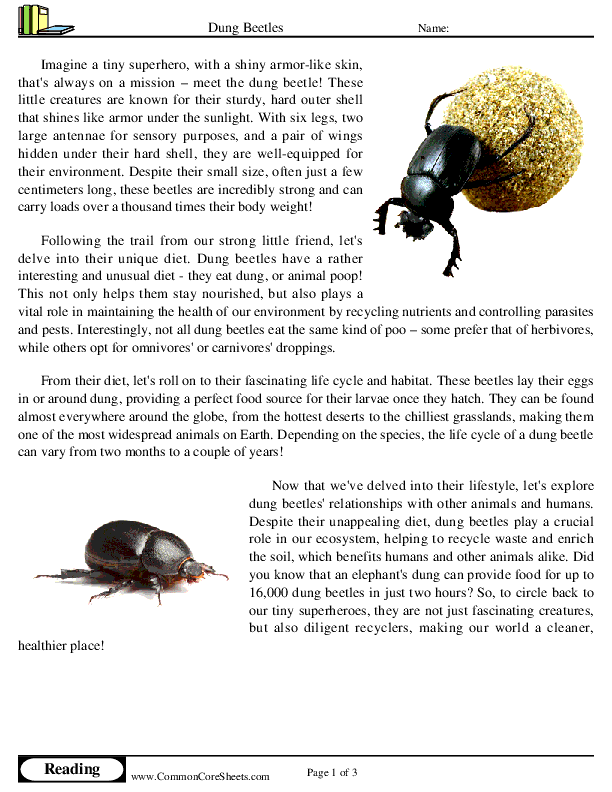  - dung-beetles worksheet
