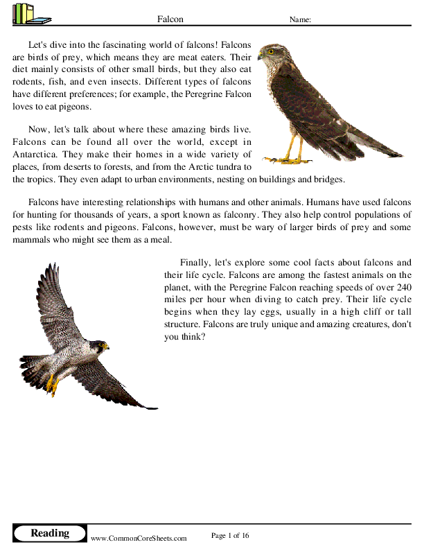  - falcon worksheet