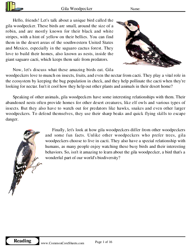 - gila-woodpecker worksheet