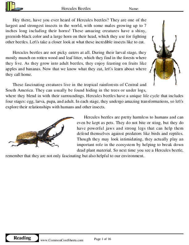  - hercules-beetles worksheet