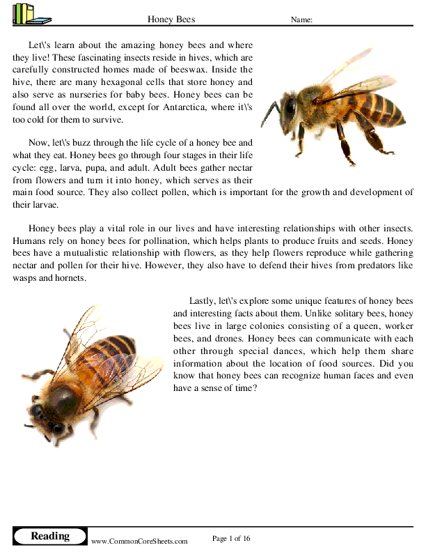  - honey-bees worksheet