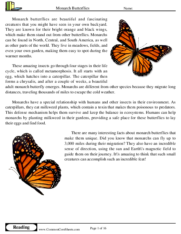  - monarch-butterflies worksheet