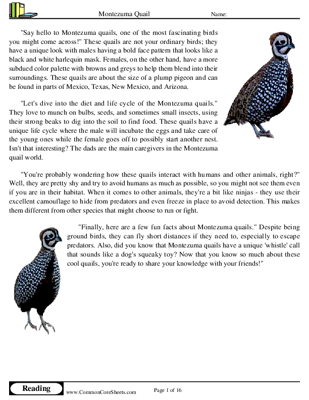  - montezuma-quail worksheet