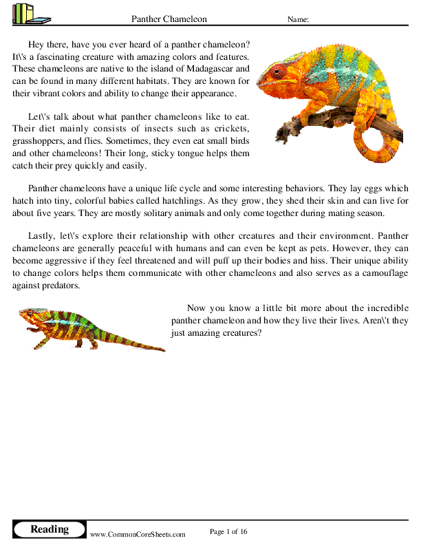  - panther-chameleon worksheet