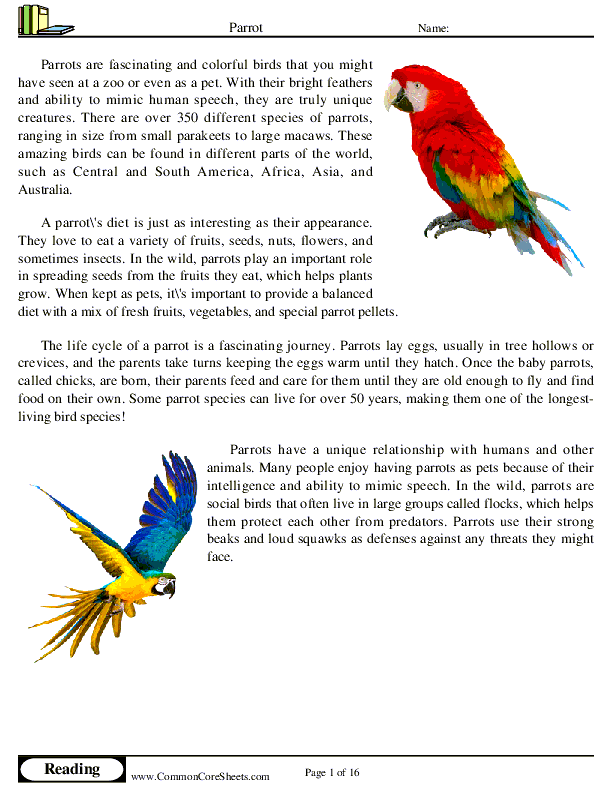  - parrot worksheet
