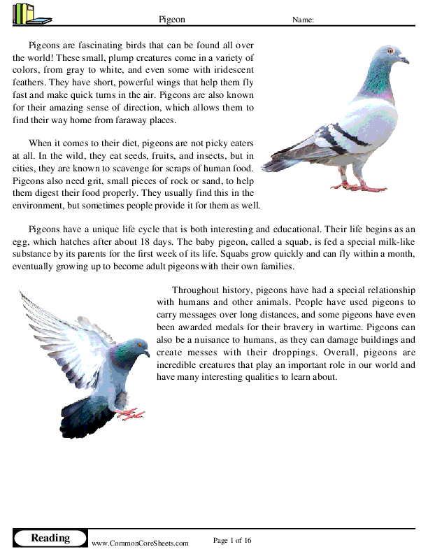  - pigeon worksheet