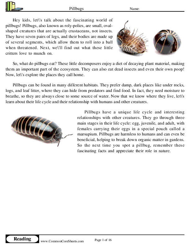  - pillbugs worksheet