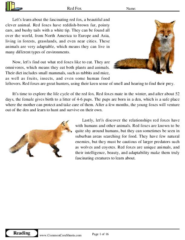  - red-fox worksheet