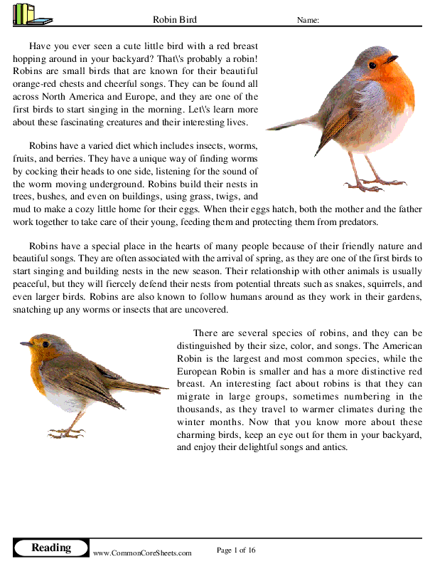  - robin-bird worksheet