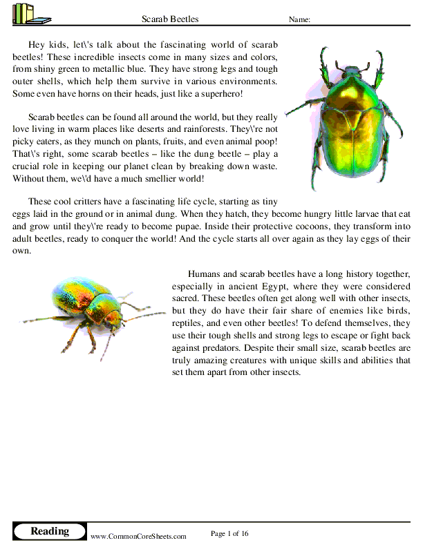  - scarab-beetles worksheet