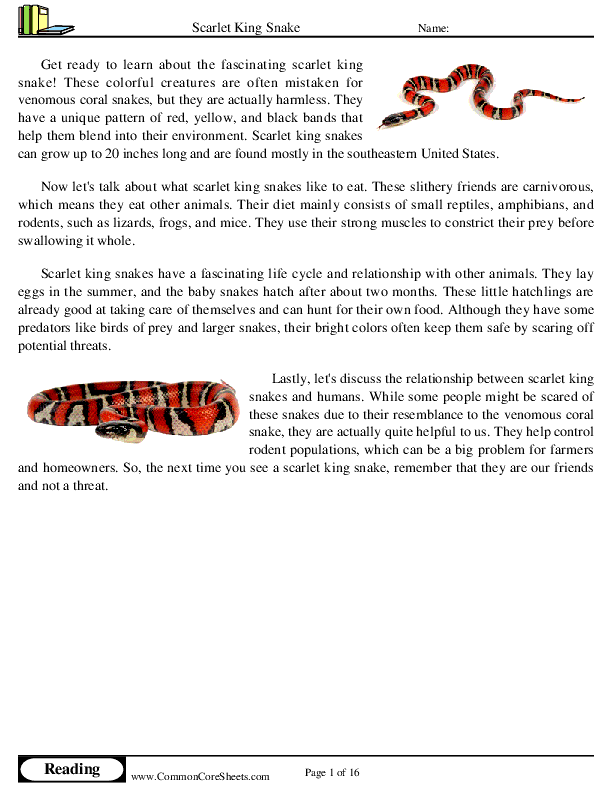  - scarlet-king-snake worksheet