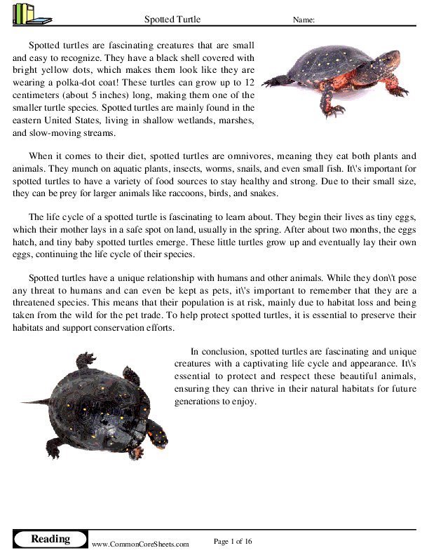  - spotted-turtle worksheet