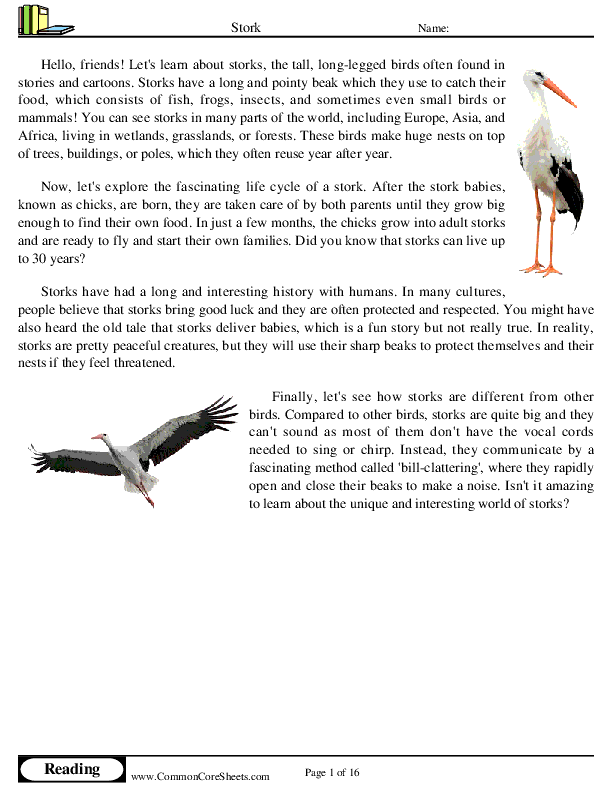  - stork worksheet