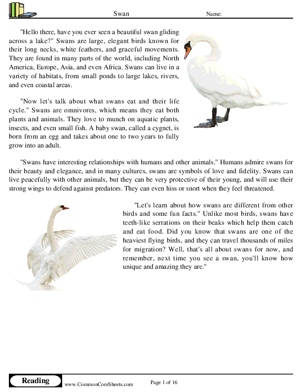  - swan worksheet