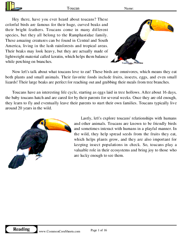 - toucan worksheet