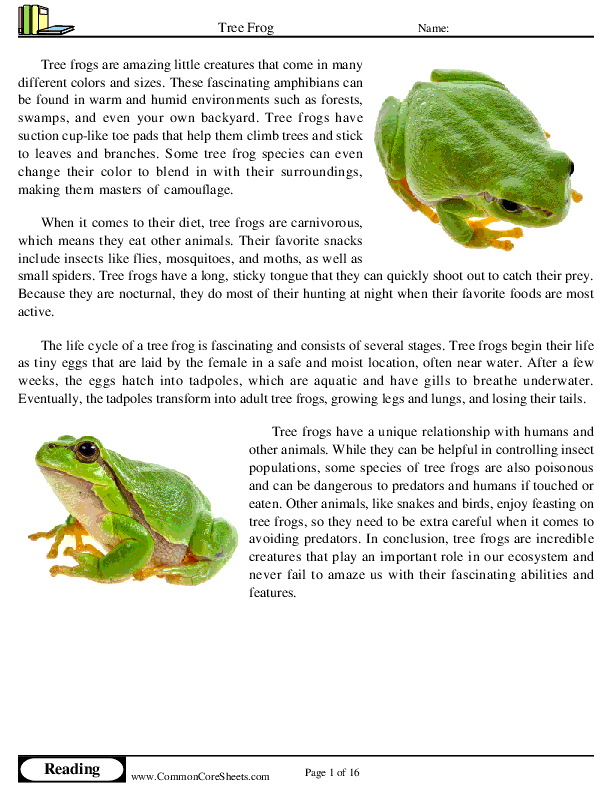  - tree-frog worksheet