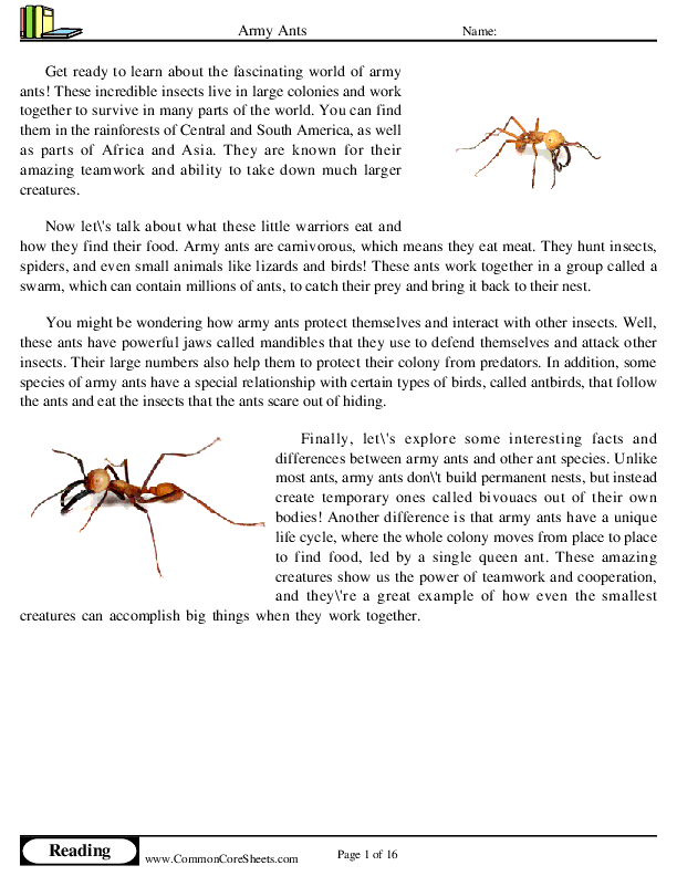  - army-ants worksheet