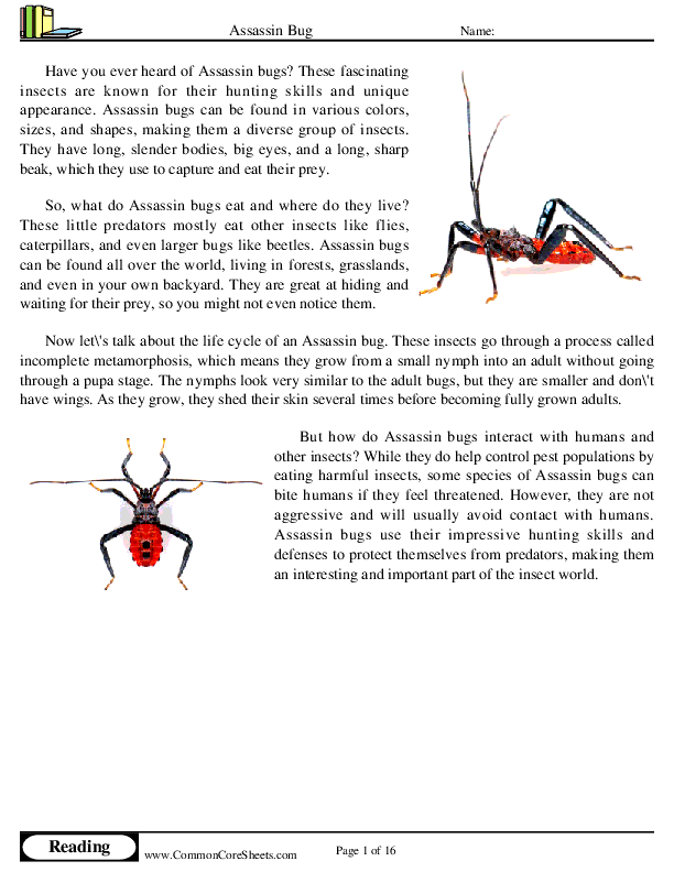  - assassin-bug worksheet