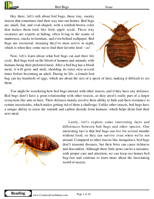  - bed-bugs worksheet