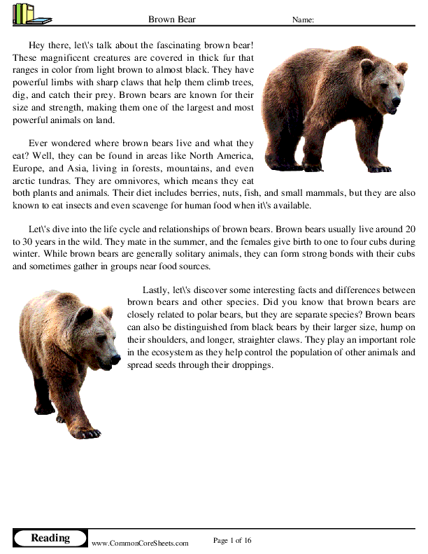  - brown-bear worksheet