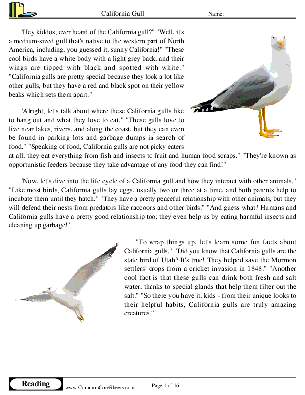  - california-gull worksheet