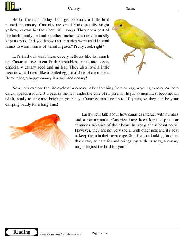  - canary worksheet