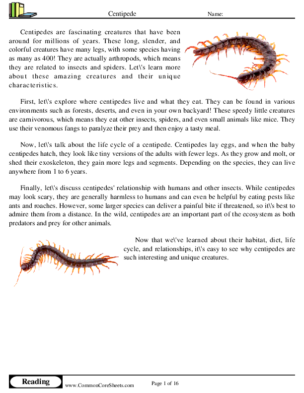  - centipede worksheet
