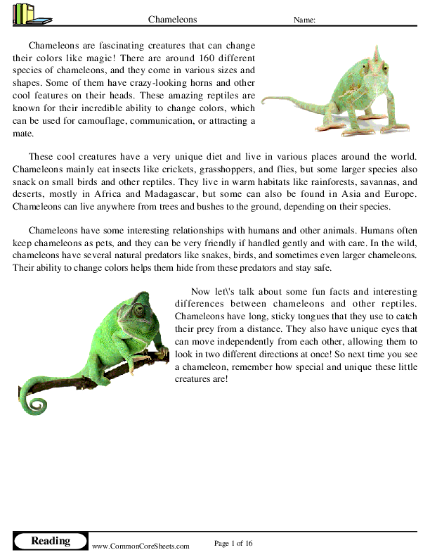  - chameleons worksheet