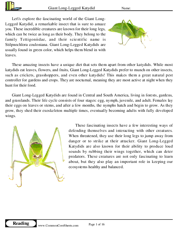  - giant-long-legged-katydid worksheet