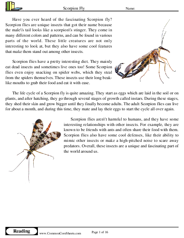 - scorpion-fly worksheet