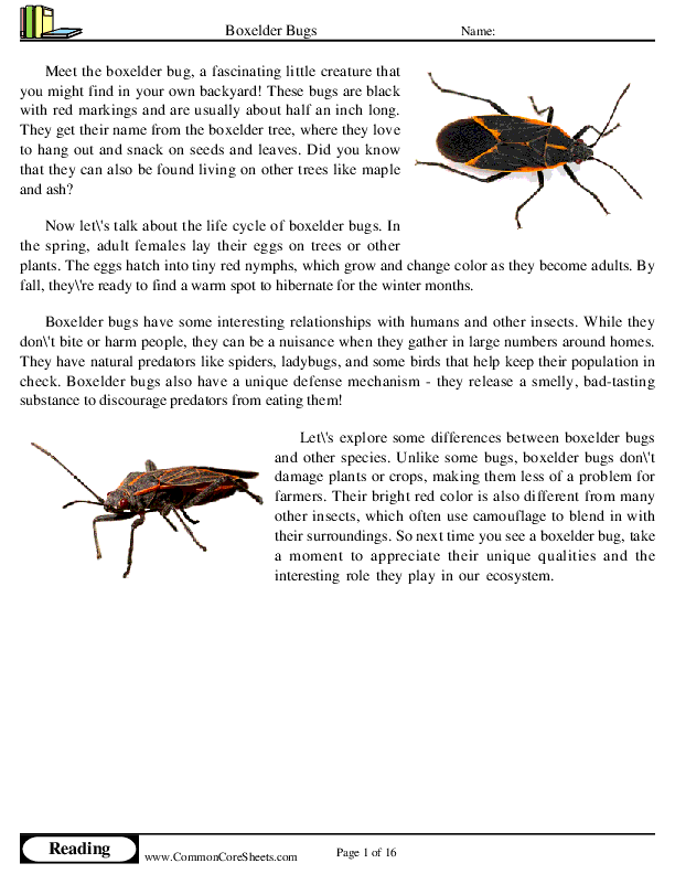  - boxelder-bugs worksheet