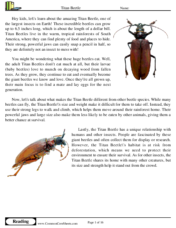  - titan-beetle worksheet