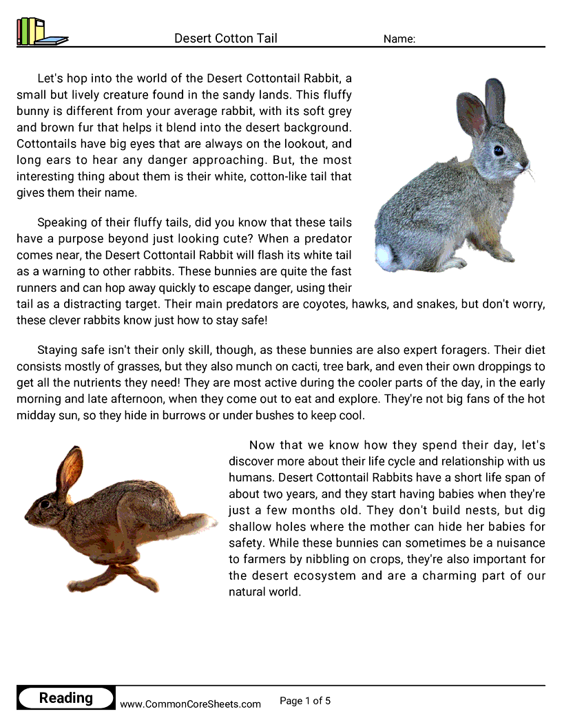 Reading Comprehension Mammals - desert-cotton-tail-rabbit worksheet