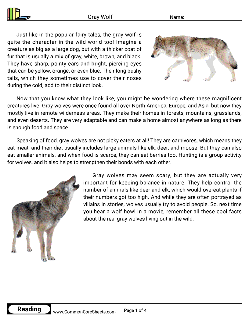 Reading Comprehension Mammals - gray-wolf worksheet