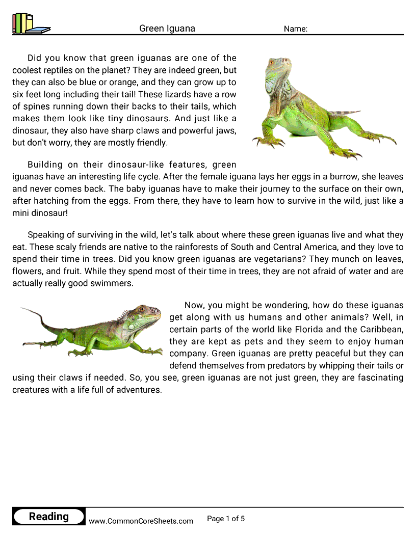 Reading Comprehension Reptiles - green-iguana worksheet