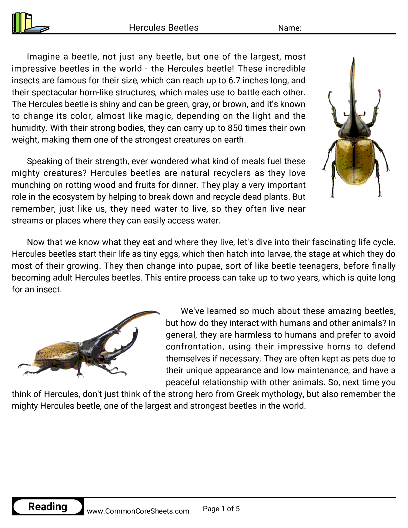Reading Comprehension Insects Worksheets - hercules-beetles worksheet