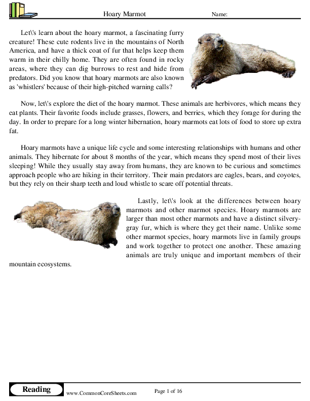  - hoary-marmot worksheet