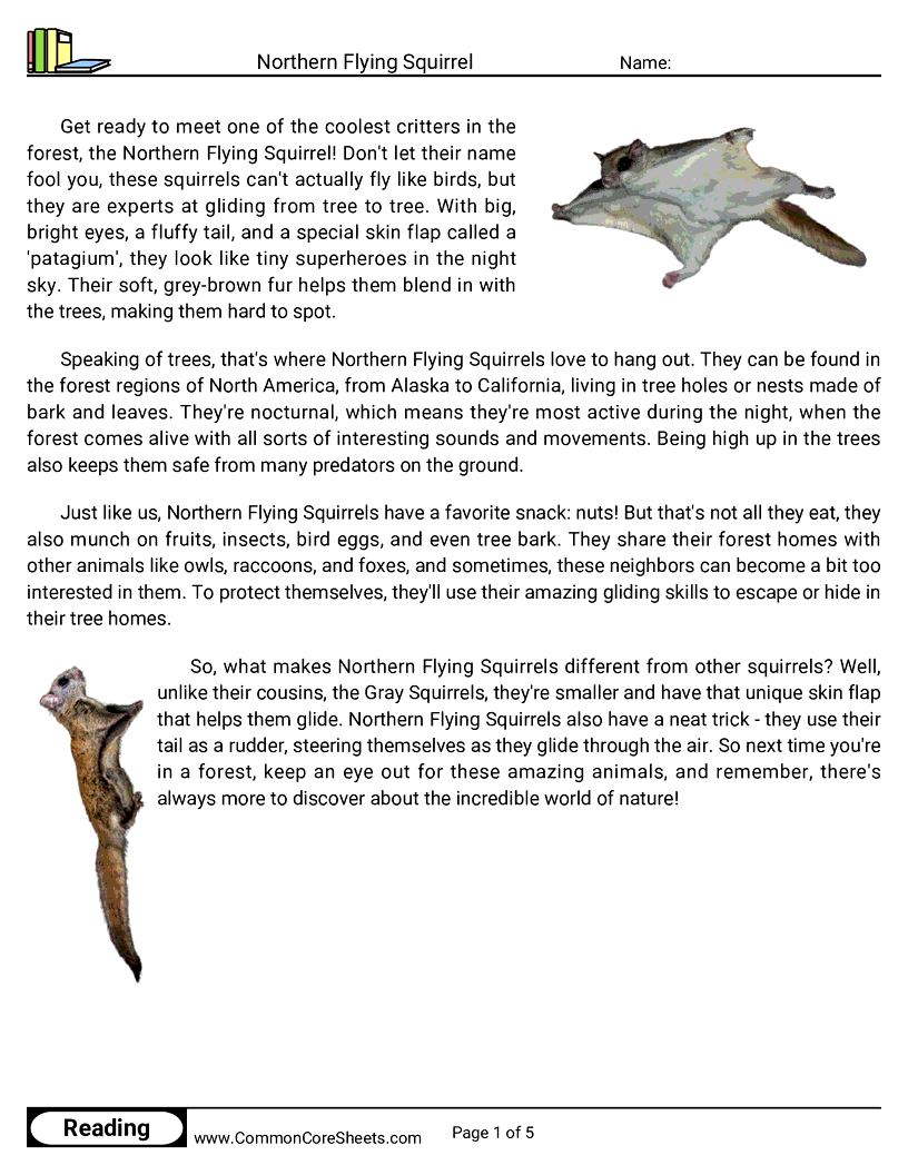 Reading Comprehension Mammals - northern-flying-squirrel worksheet
