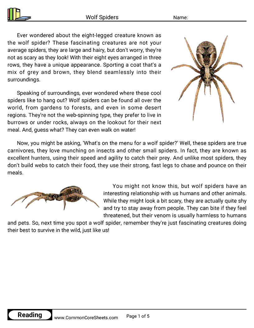 Reading Comprehension Spiders Worksheets - wolf-spiders worksheet