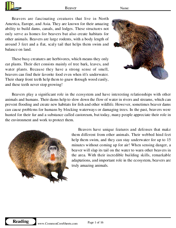  - beaver worksheet