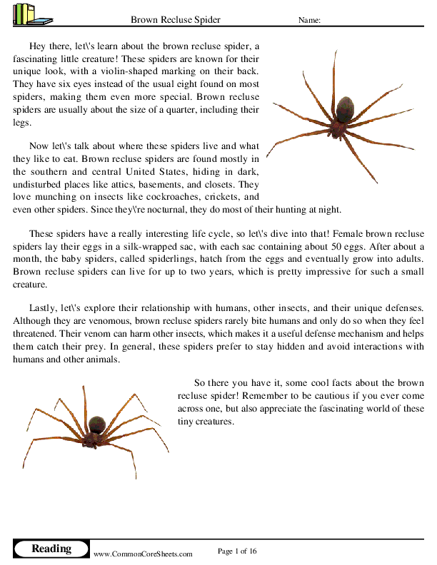  - brown-recluse-spider worksheet