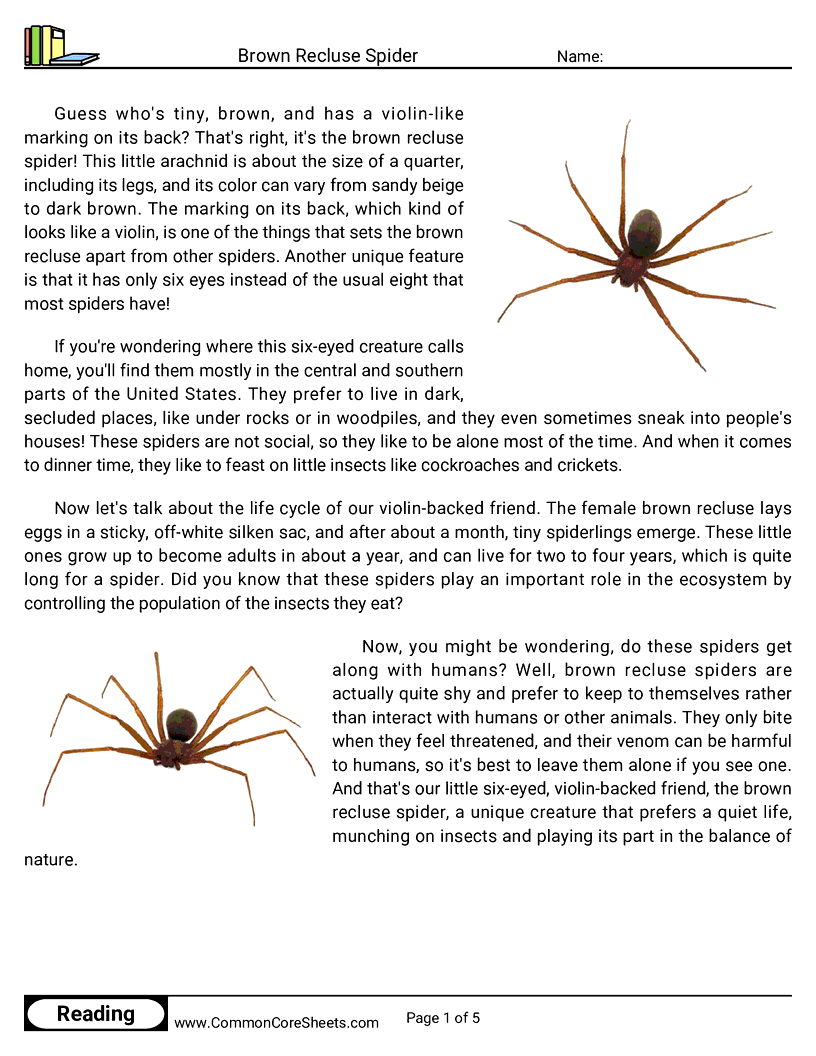 Reading Comprehension Spiders Worksheets - brown-recluse-spider worksheet