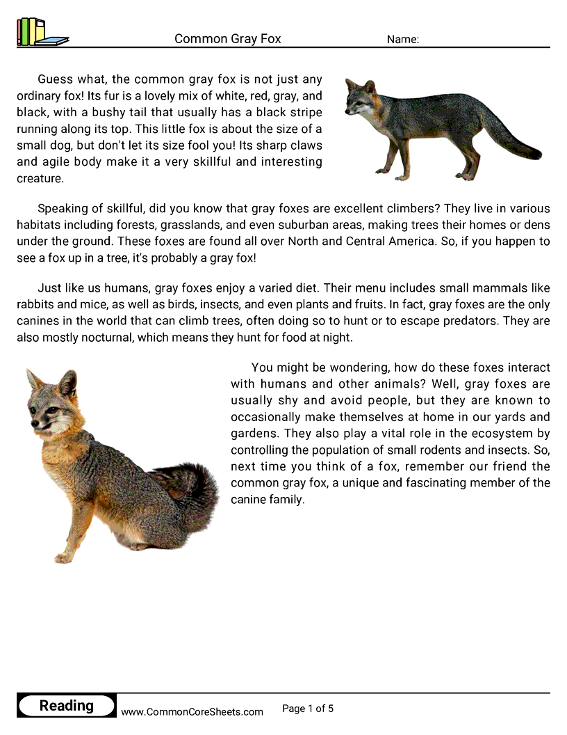Reading Comprehension Mammals - common-gray-fox worksheet