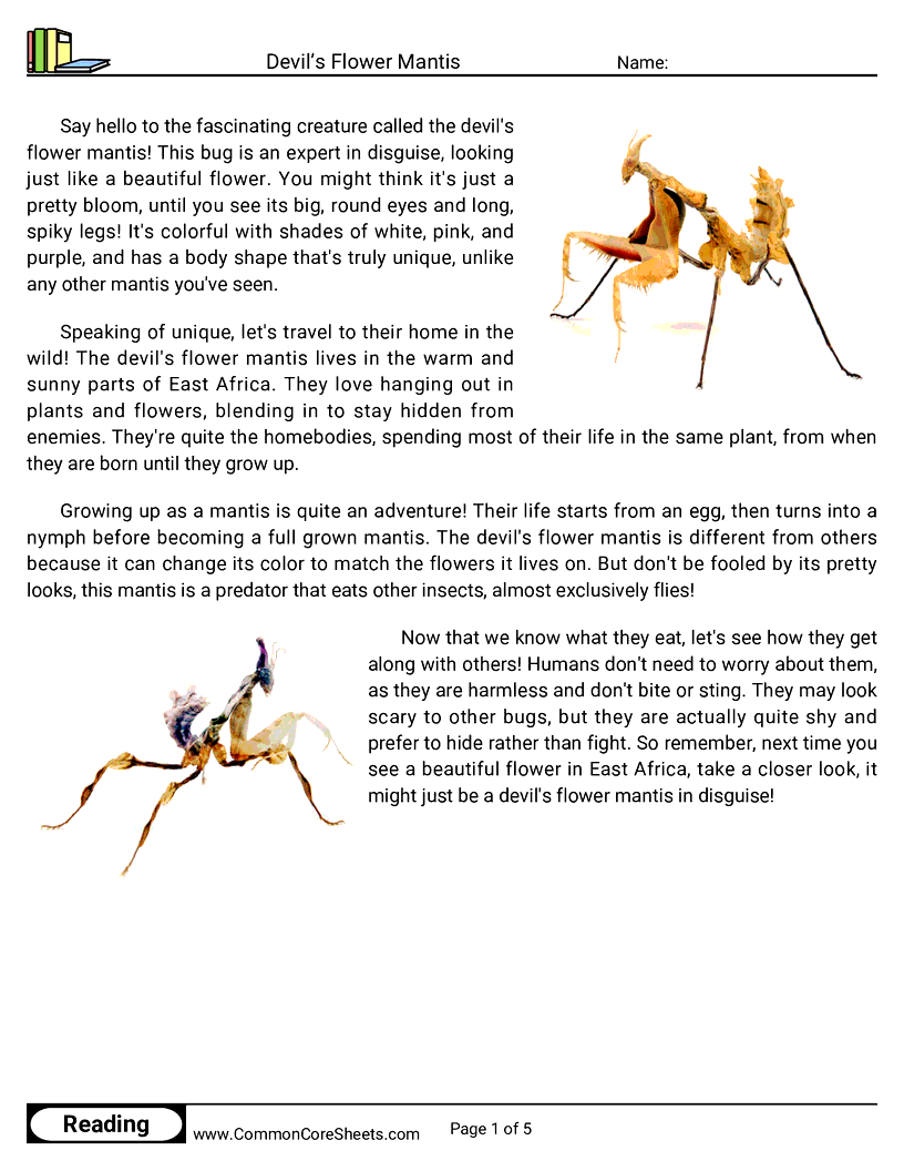 Reading Comprehension Insects Worksheets - devils-flower-mantis worksheet