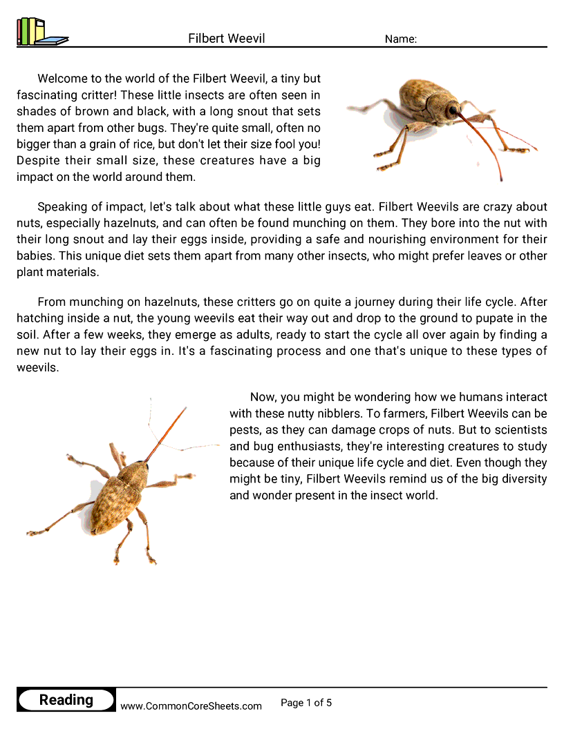 Reading Comprehension Insects Worksheets - filbert-weevil worksheet
