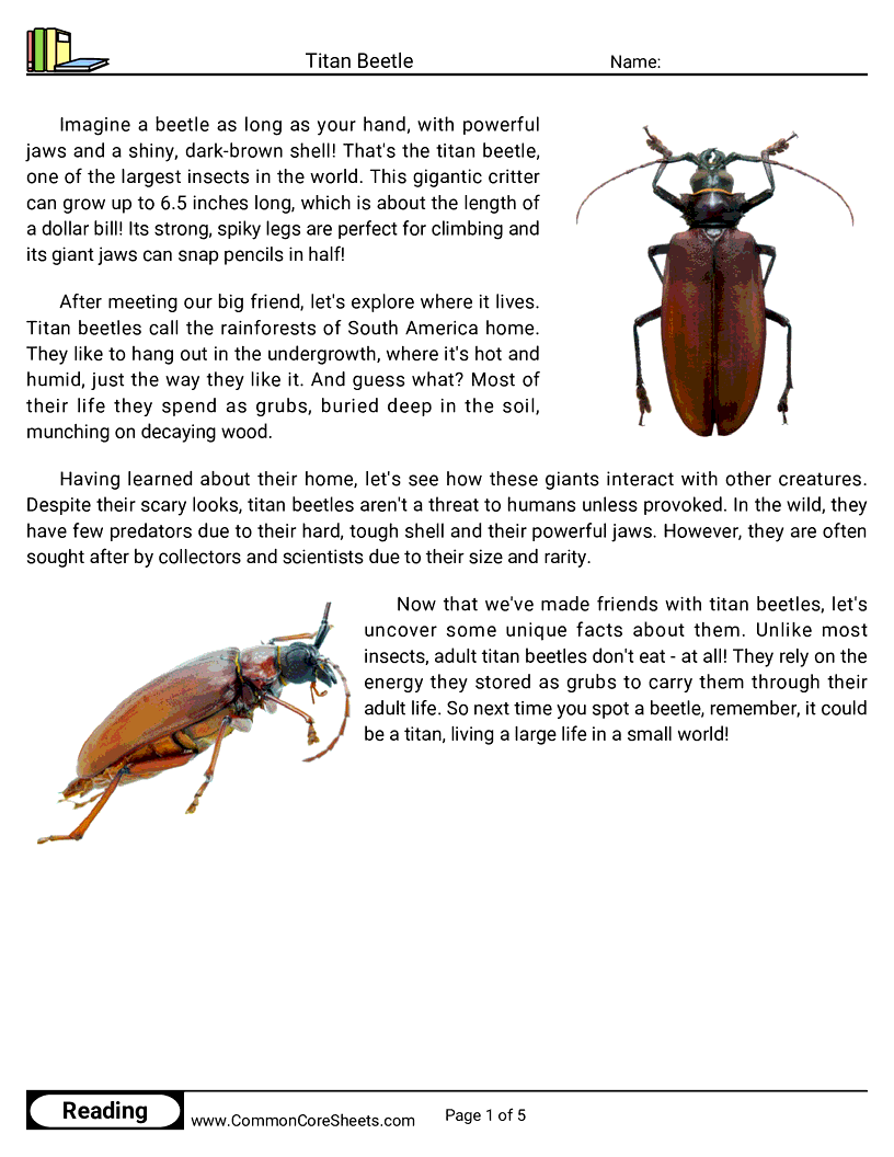 Reading Comprehension Insects Worksheets - titan-beetle worksheet